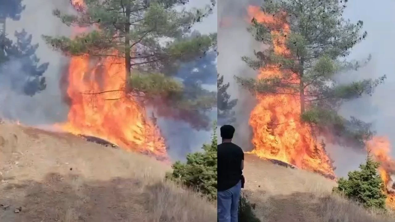 Kahramanmaraş Türkoğlu'nda Yangın: Ekipler Müdahale Etti