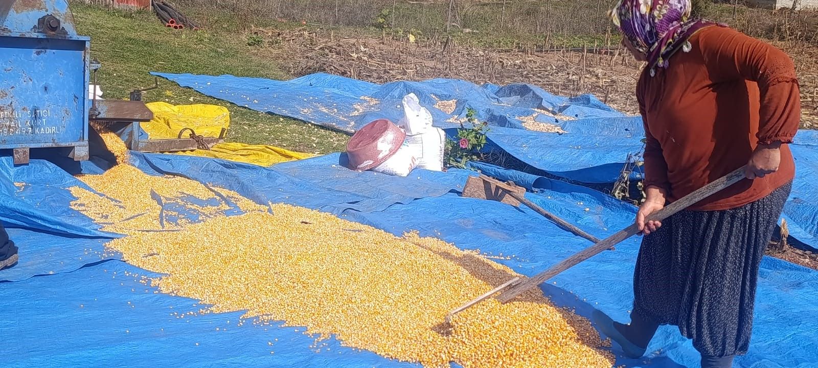Kahramanmarasta Tarladan Cikarildi Cuvallara Dolduruldu O Ilcede Turuncu Alarm Verildi (5)