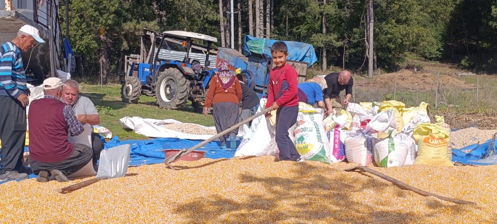 Kahramanmarasta Tarladan Cikarildi Cuvallara Dolduruldu O Ilcede Turuncu Alarm Verildi (6)